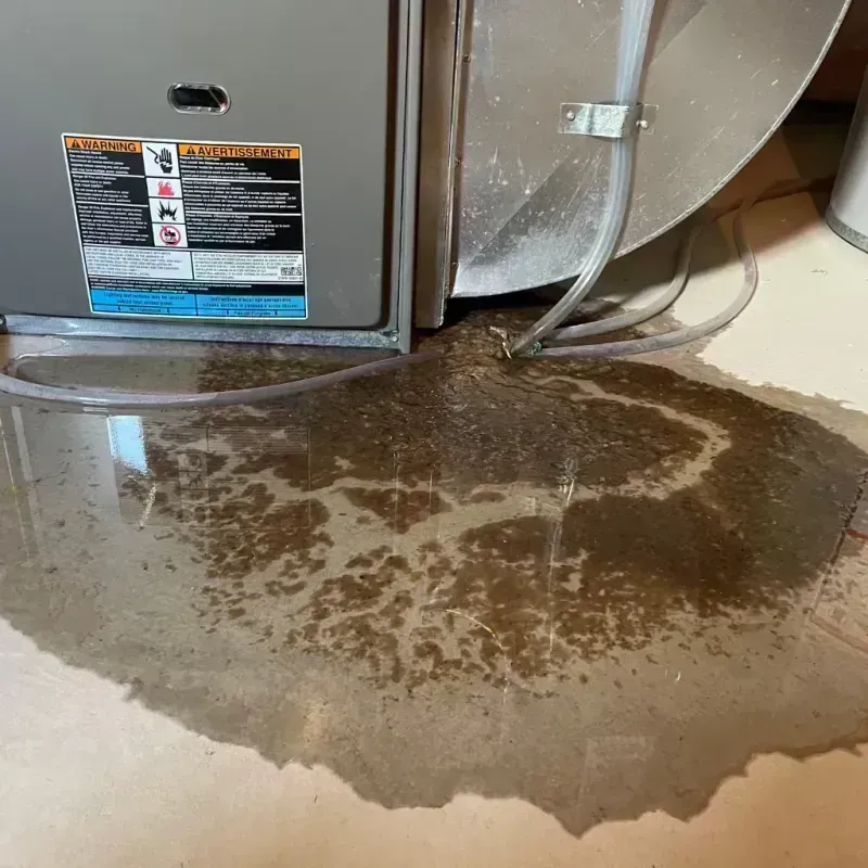 Appliance Leak Cleanup in Taos, MO